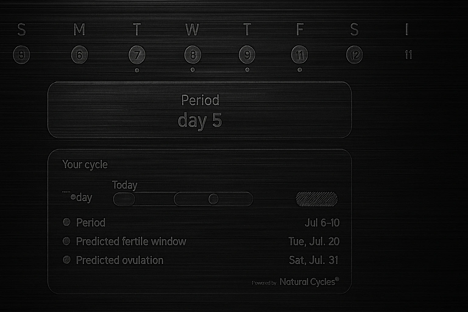 Cycle Tracking